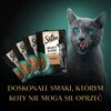 Karma dla kota SHEBA Selection Drobiowe smaki (40 x 85 g) Weterynaryjna Nie