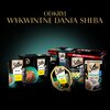 Karma dla kota SHEBA Sauce Collection Rybne Smaki (40 x 85 g) Smak Łosoś
