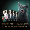 Karma dla kota SHEBA Sauce Collection Rybne Smaki (40 x 85 g) Etap życia Dorosły
