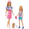 Lalka Barbie Stacie i Barbie na ratunek HRM09 Typ Lalka z akcesoriami