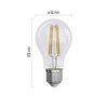 Żarówka LED EMOS Filament ZF5158 5W E27 Funkcje Smart Nie