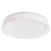Oprawa natynkowa EMOS GoSmart ILVI 45W LED z pilotem Pomieszczenie Do przedpokoju