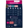 Karma dla kota EUKANUBA Grain Free Kitten Łosoś 10 kg Typ Sucha