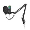 Mikrofon KRUX Edis 3000 Charakterystyka kierunkowości Kardioidalna