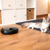 Dozownik karmy automatyczny CECOTEC Pumba 1600 Purrfect Meal 09562 Informacje dodatkowe Dwie opcje zasilania