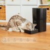 Dozownik karmy automatyczny CECOTEC Pumba 6000 Purrfect Meal 09565 Automatyczny Tak