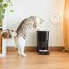 Dozownik karmy automatyczny CECOTEC Pumba 6000 Purrfect Meal 09565 Informacje dodatkowe Dedykowana aplikacja