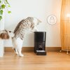 Dozownik karmy automatyczny CECOTEC Pumba 6000 Purrfect Meal Smart Vision Pet Feeder Akumulator w zestawie Nie