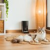 Dozownik karmy automatyczny CECOTEC Pumba 6000 Purrfect Meal Smart Vision Pet Feeder Informacje dodatkowe Dedykowana aplikacja