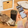 Dozownik karmy automatyczny CECOTEC Pumba 6000 Purrfect Meal Smart Vision Pet Feeder Informacje dodatkowe Harmonogram karmienia