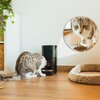 Dozownik karmy automatyczny CECOTEC Pumba 6000 Purrfect Meal Smart Vision Pet Feeder Informacje dodatkowe Kamera