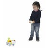 Zabawka interaktywna CHICCO Baby Senses Piesek Dogremi 11545000000 Funkcje rozwojowe Poznawcza