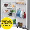 Lodówka BEKO RDNT231I40XBN No Frost 145cm Srebrna Położenie zamrażarki Na górze