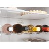 Lodówka CANDY CBT5518DW Funkcje dodatkowe Oświetlenie LED