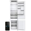Lodówka HAIER HBW5519D Pojemność [l] 219 chłodziarka + 62 zamrażarka