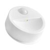 Lampka nocna FOREVER LIGHT FLC-01
