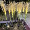 Lampa solarna FOREVER LIGHT Sunari FLS-81 RTV100386 Kolor Wielokolorowy