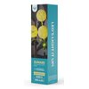 Lampa solarna FOREVER LIGHT Sunari FLS-95 Głębokość [mm] 150