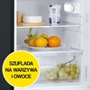 Lodówka CANDY COHS 45EB 85cm Czarna Położenie zamrażarki Wewnątrz