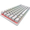 Biała klawiatura mechaniczna z podświetleniem RGB, z widocznymi klawiszami oznaczonymi kolorowymi literami, takimi jak "ESC", "TAB", "CAPS", "SHIFT", "CTRL". Podświetlenie klawiatury zmienia się w różnych kolorach, w tym czerwonym i zielonym.