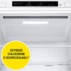 Lodówka LG GBV3200DSW No Frost 203cm Biała NatureFresh LinearCooling Bezszronowa (No Frost) Pełny No Frost