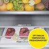 Lodówka LG GBB72BM9CQ1 No Frost 203cm Czarne szkło Kolor producenta Czarny