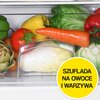 Lodówka LIN LI-EF1-14 85cm Biała Bezszronowa (No Frost) Brak