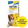 Tabletka przeciw pchłom i kleszczom ELANCO Adtab (22 - 45 kg) Ochrona przez 4 tygodnie