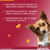 Krople na pchły i kleszcze ELANCO Advantix Spot-on Bardzo małe psy (do 4 kg) 4 x 0.4 ml Ochrona przez 16 tygodni Opakowanie wystarczy na 16 tygodni