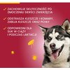 Krople na pchły i kleszcze ELANCO Advantix Spot-on Średnie psy (10-25 kg) 4 x 2.5 ml Ochrona przez 16 tygodni Liczba sztuk w opakowaniu 4