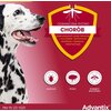 Krople na pchły i kleszcze ELANCO Advantix Spot-on Duże psy (25-40 kg) 4 x 4 ml Ochrona przez 16 tygodni Liczba sztuk w opakowaniu 4
