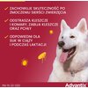 Krople na pchły i kleszcze ELANCO Advantix Spot-on Duże psy (25-40 kg) 4 x 4 ml Ochrona przez 16 tygodni Opakowanie wystarczy na 16 tygodni