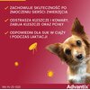 Krople na pchły i kleszcze ADVANTIX Spot-on Bardzo małe psy (do 4 kg) 0.4 ml Opakowanie wystarczy na 4 tygodnie
