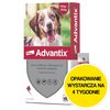 Krople na pchły i kleszcze ELANCO Advantix Spot-on Średnie psy (10-25 kg) 2.5 ml Ochrona przez 4 tygodnie
