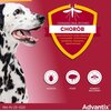 Krople na pchły i kleszcze ELANCO Advantix Spot-on Duże psy (25-40 kg) 4 ml Ochrona przez 4 tygodnie Liczba sztuk w opakowaniu 1
