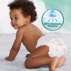 Pieluchomajtki PAMPERS Harmonie Baby 4 (22 szt.) Informacje dodatkowe 0% substancji zapachowych i balsamu