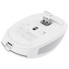 Mysz TRUST Ozaa Compact Wireless Biały Typ myszy Optyczna