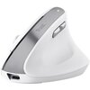 Mysz TRUST Bayo II Wireless Biały Rozdzielczość 800 dpi
