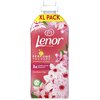 Płyn do płukania LENOR Cherry Blossom & Sage 1200 ml