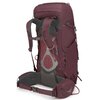 Plecak OSPREY Kyte 38 M/L Fioletowy Rodzaj Plecak