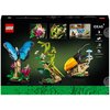 LEGO 21342 Ideas Kolekcja owadów Motyw Kolekcja owadów