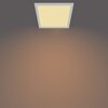 Lampa sufitowa PHILIPS Touch Panel 929002665301 Pomieszczenie Do garażu