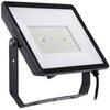 Naświetlacz LED PHILIPS Projectline 911401863084