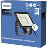 Naświetlacz LED PHILIPS Projectline 911401862884 Zasilanie Sieciowe
