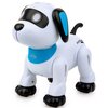 Piesek zdalnie sterowany DUMEL Psiak Akrobata Junior RC Robo RD30010
