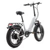 Rower elektryczny GERMINA Fat Bike U17 20 cali Szary Rozmiar ramy [cal] 17