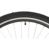 Rower miejski DAWSTAR Citybike S7B 28 cali damski Cappuccino 2024 Kolor Cappuccino