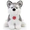 Maskotka TRUDI Husky 19494 Płeć Chłopiec