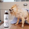 Szampon dla psa i kota PETS Vitamin 250 ml Przeznaczenie Dla kota