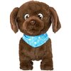 Zabawka interaktywna TM TOYS Puppy Luv Bruno DKO0061 Wiek 2+